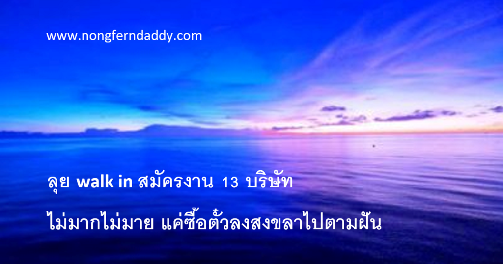 ลุย walk in สมัครงาน 13 บริษัท