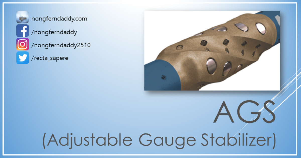 AGS Adjustable Gauge Stabilizer