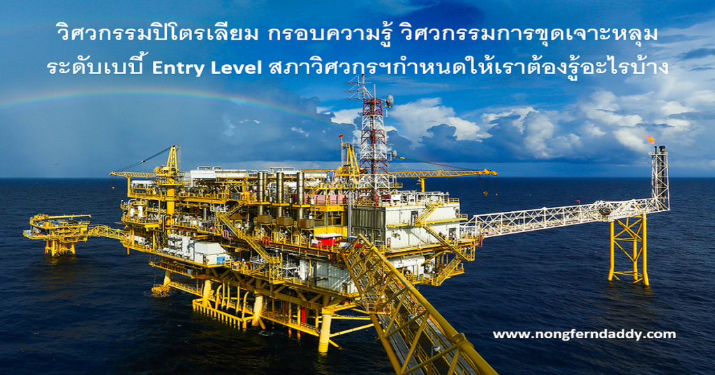 วิศวกรรมปิโตรเลียม