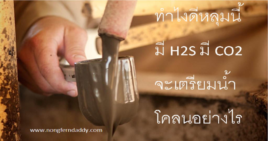 ทำไงดีหลุมนี้มี H2S มี CO2