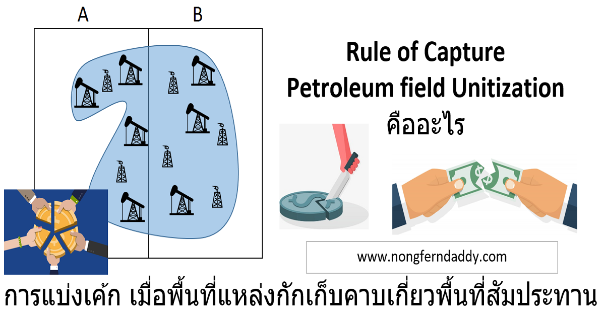 petroleum unitization