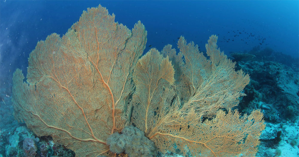 Losin by The manager