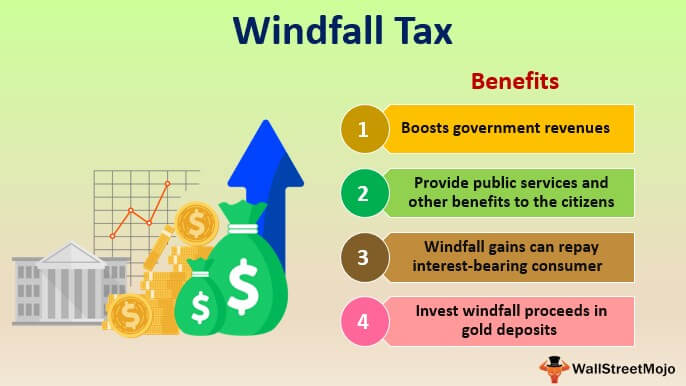 Petroleum concession windfall tax