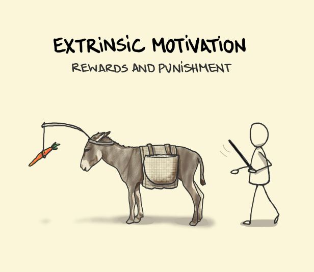 Hormones at Work Leadership