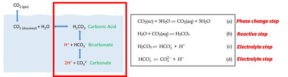 Dissolution Trapping