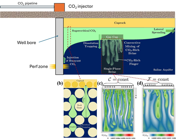 Dissolution Trapping