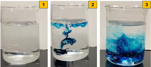 Dissolution Trapping
