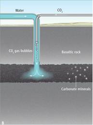 Mineralization Trapping