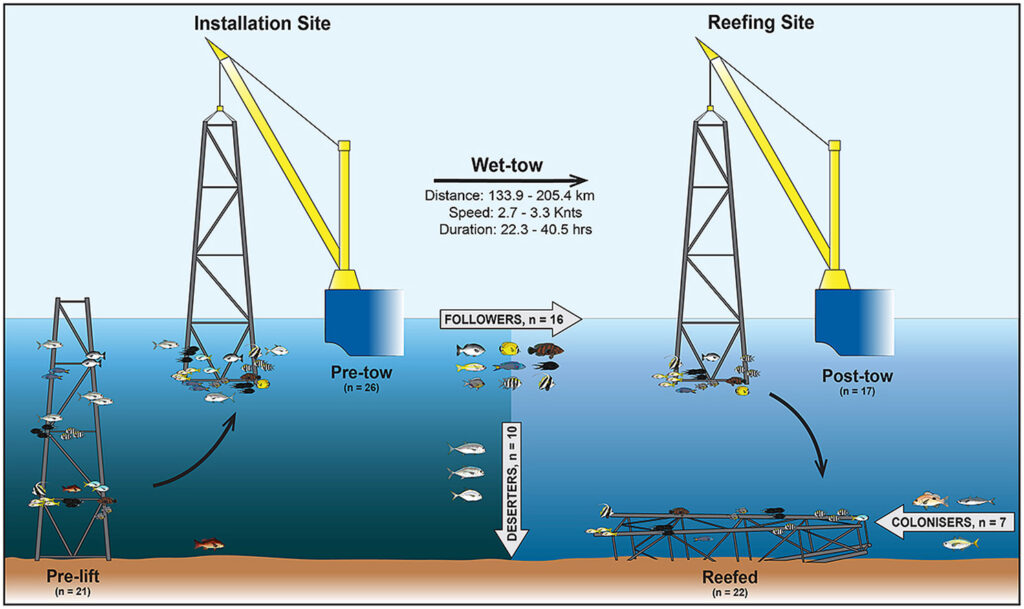 Wet tow vs. dry tow … pro & con